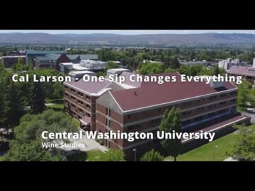 One Sip Changes Everything