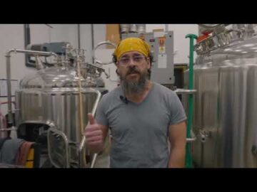The Beer Revolution